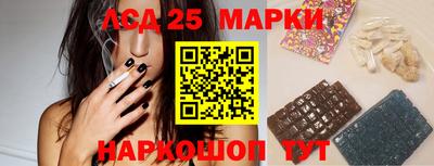 кокс Донской
