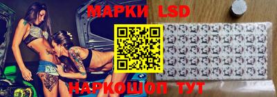 кокс Донской