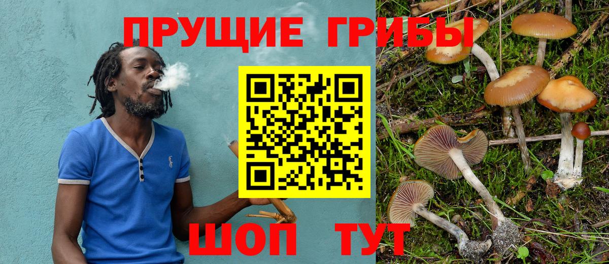 Галлюциногенные грибы Cubensis Магадан