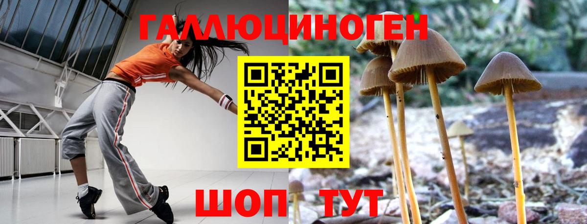 КОКАИН Магадан