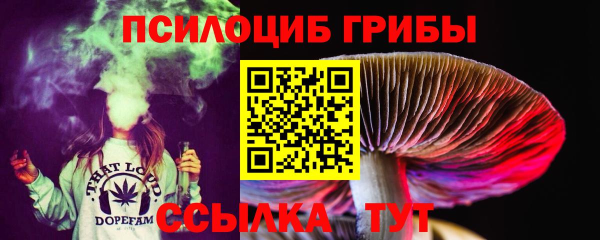 Галлюциногенные грибы Cubensis  Вход с VPN  Магадан 
